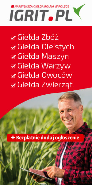 Igrit.PL Reklama Własna Sky